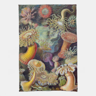 Haeckel Sea Urchins Geschirrtuch