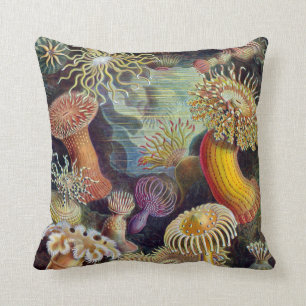 Haeckel ~ Seeanemonen Kissen