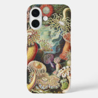 Haeckel Seeanemonen Maritime Meer Lebens Kunst Col