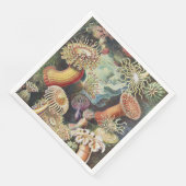 Haeckel Seeanemonen Maritime Meerestiere Kunst Col Serviette (Ecke)