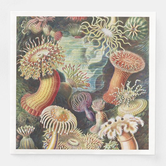 Haeckel Seeanemonen Maritime Meerestiere Kunst Col Serviette (Vorderseite)
