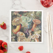 Haeckel Seeanemonen Maritime Meerestiere Kunst Col Serviette (Beispiel)