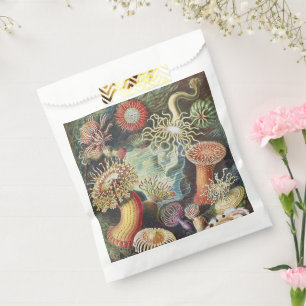 Haeckel Seeanemonen Nautische Meer Lebens Kunst Co Geschenktütchen