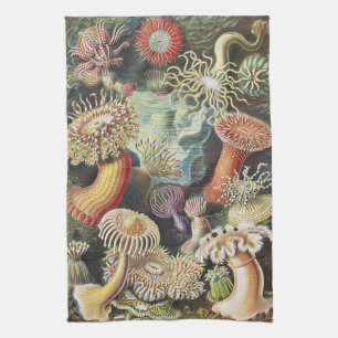 Haeckel Seeanemonen Nautische Meer Lebens Kunst Co Geschirrtuch