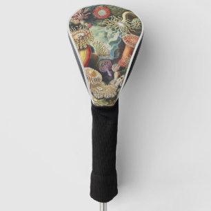 Haeckel Seeanemonen Nautische Meer Lebens Kunst Co Golf Headcover