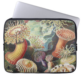 Haeckel Seeanemonen Nautische Meer Lebens Kunst Co Laptopschutzhülle
