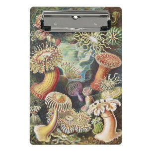 Haeckel Seeanemonen Nautische Meer Lebens Kunst Co Mini Klemmbrett