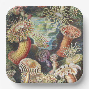 Haeckel Seeanemonen Nautische Meer Lebens Kunst Co Pappteller