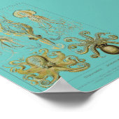 Haeckel Tintenfisch, Gamochonia Poster (Ecke)
