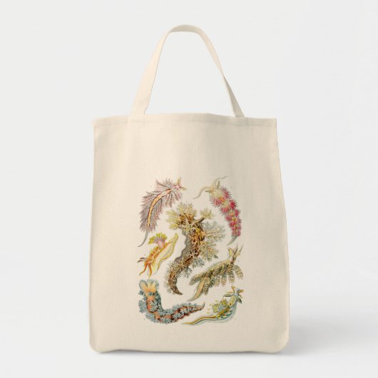 Haeckel Tragetasche (Vorne)