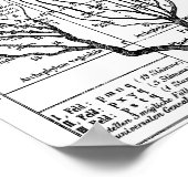 Haeckel Tree of Life Poster (Ecke)