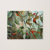 Haeckel Trochilidae Puzzle (Horizontal)