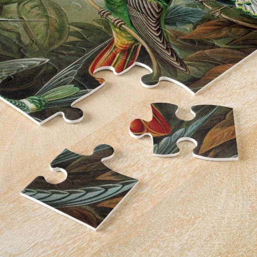 Haeckel Trochilidae Puzzle (Seite)