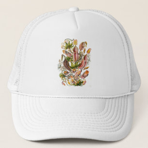 Haeckel Truckerkappe