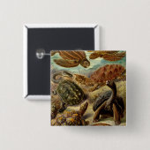 Haeckel Turtles Button (Vorne & Hinten)