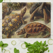 Haeckel Turtles Handtuch (Gefaltet)