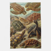 Haeckel Turtles Handtuch (Vertikal)