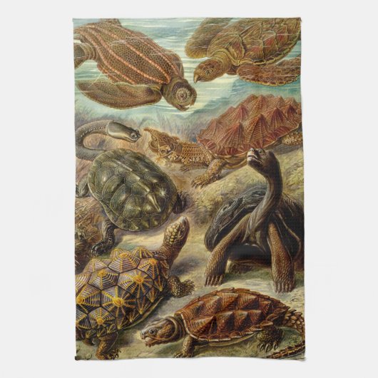 Haeckel Turtles Handtuch (Vertikal)