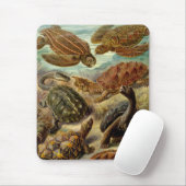 Haeckel Turtles Mousepad (Mit Mouse)