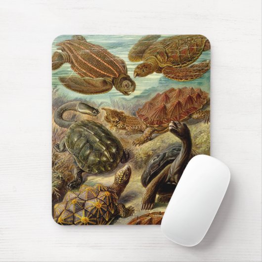 Haeckel Turtles Mousepad (Mit Mouse)