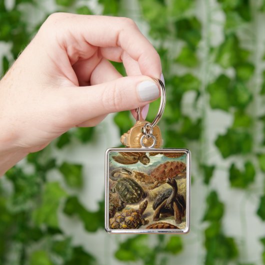 Haeckel Turtles Schlüsselanhänger (Hand)