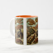 Haeckel Turtles Zweifarbige Tasse (Vorderseite Links)