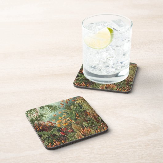 Haeckel Untersetzer (Rechte Seite)