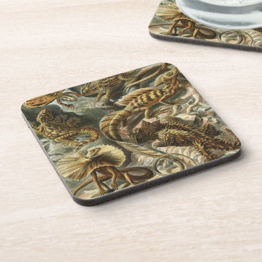 Haeckel Untersetzer (Linke Seite)