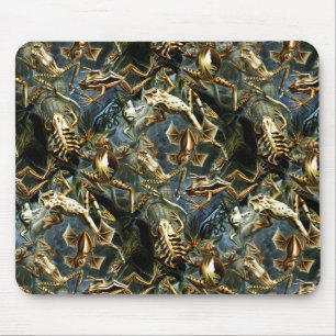 Haeckel Vintage Amphibien Mousepad