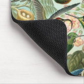Haeckel-Vögel Mousepad (Ecke)