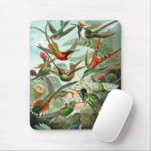 Haeckel-Vögel Mousepad (Mit Mouse)