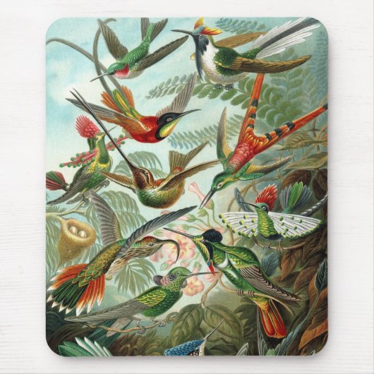 Haeckel-Vögel Mousepad (Vorne)
