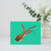 Haeckel-Vogel Postkarte (Stehend Vorderseite)