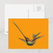 Haeckel-Vogel Postkarte (Vorne/Hinten)