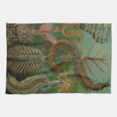 Haeckel-Wanzen Geschirrtuch (Horizontal)