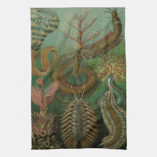 Haeckel-Wanzen Geschirrtuch