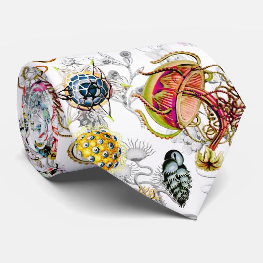 Haeckeliana Krawatte (Gerollt)