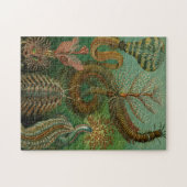 Haeckel's Chaetopoda Jigsaw Puzzle (Horizontal)
