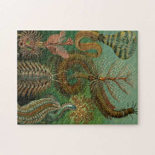 Haeckel's Chaetopoda Jigsaw Puzzle (Horizontal)