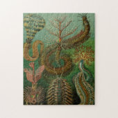 Haeckel's Chaetopoda Jigsaw Puzzle (Vertikal)