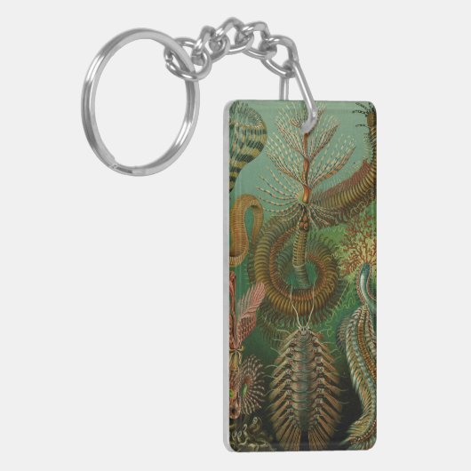 Haeckel's Chaetopoda Schlüsselanhänger (Vorderseite links)
