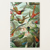 Haeckel's Hummingbirds Planner Planer (Vorderseite)