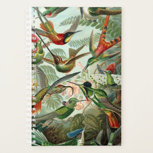 Haeckel's Hummingbirds Planner Planer (Vorderseite)