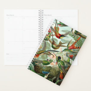 Haeckel's Hummingbirds Planner Planer