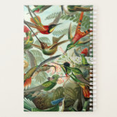 Haeckel's Hummingbirds Planner Planer (Rückseite)