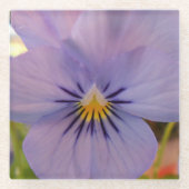 Haetzler Glasuntersetzer (Vorderseite)