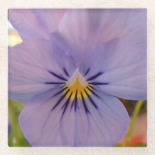 Haetzler Glasuntersetzer (Vorderseite)