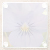 Haetzler Glasuntersetzer (Rückseite)