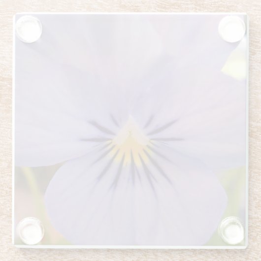 Haetzler Glasuntersetzer (Rückseite)