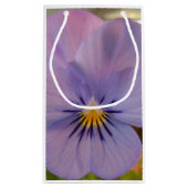 Haetzler Kleine Geschenktüte (Rückseite)